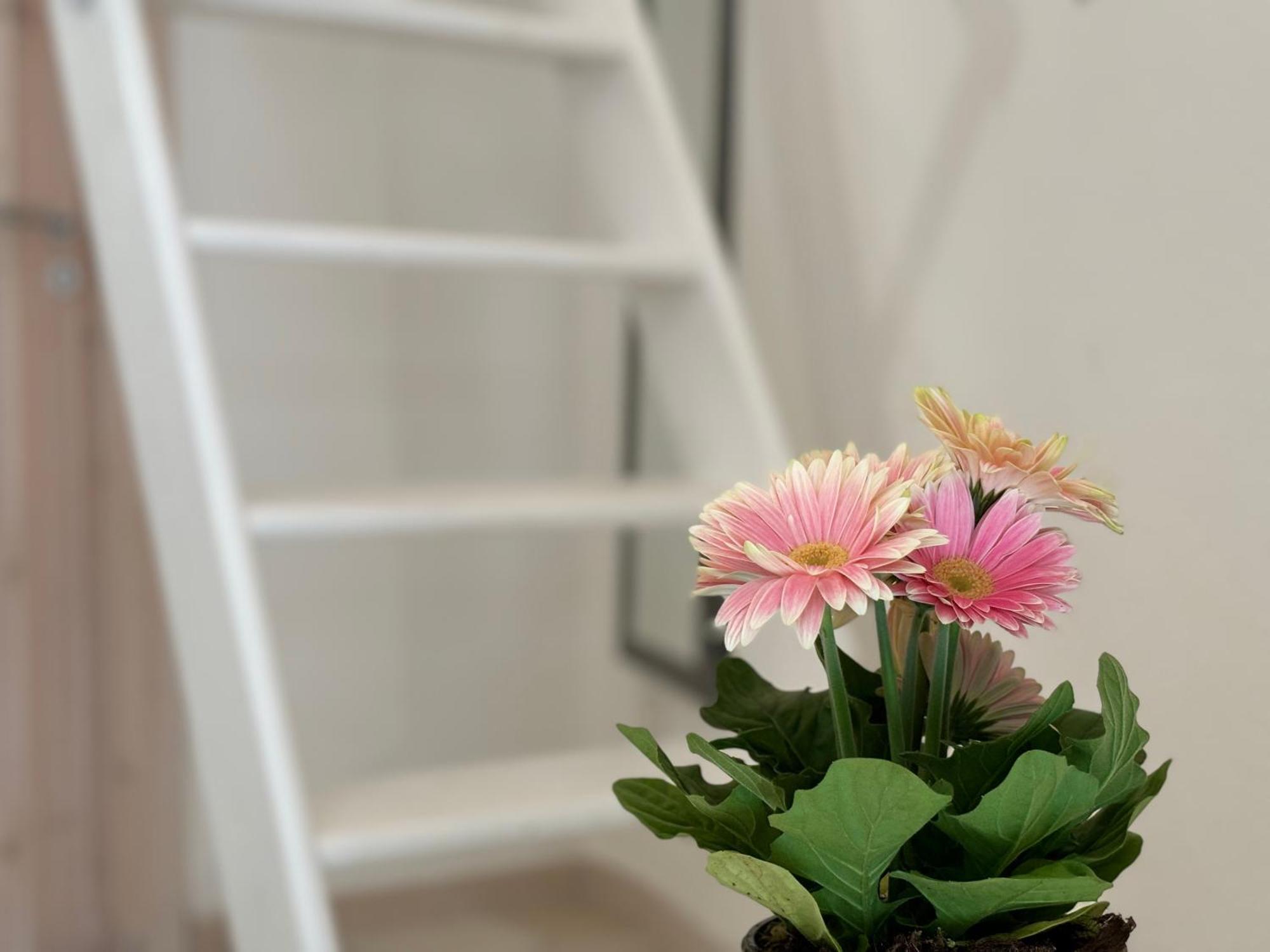 Casa Ostuni Mono Lovely Екстериор снимка