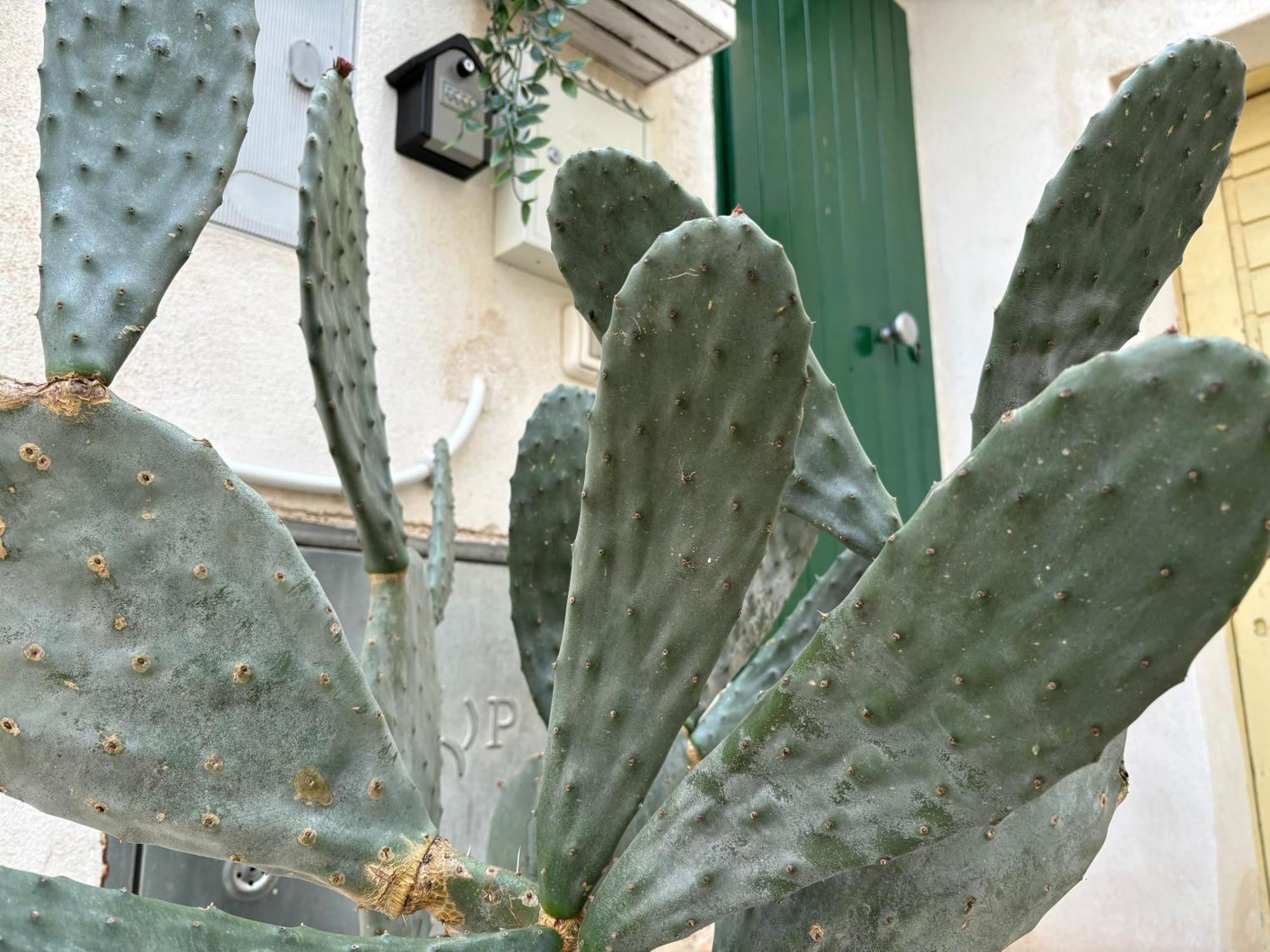 Casa Ostuni Mono Lovely Екстериор снимка